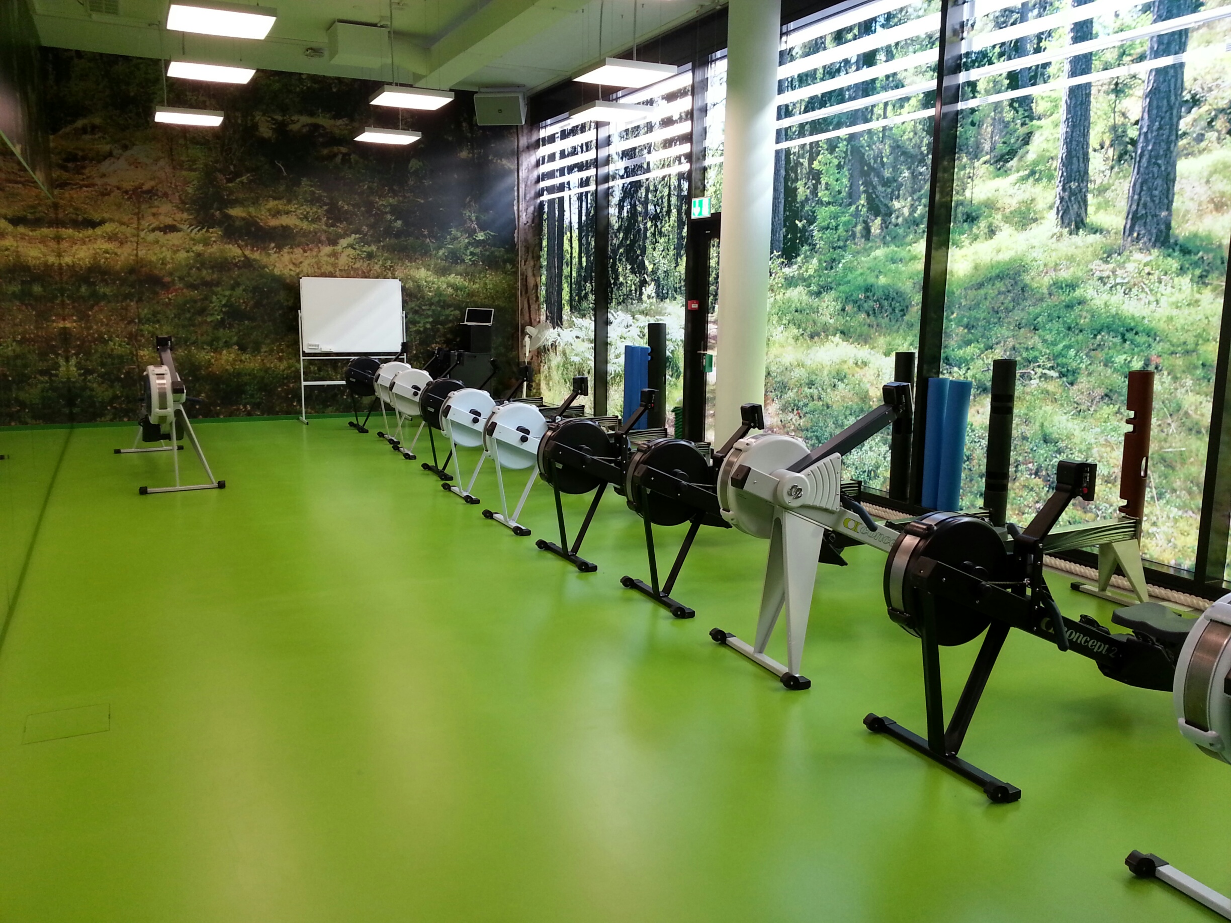 Rowing Day Google Zürich Concept2